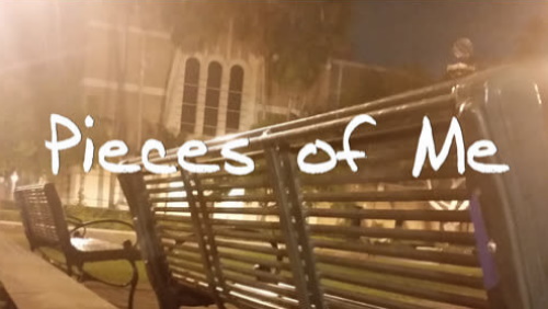 pieces of me