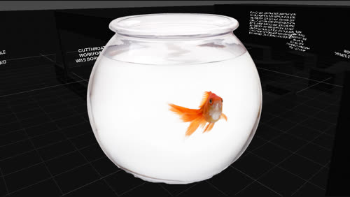 the fishbowl